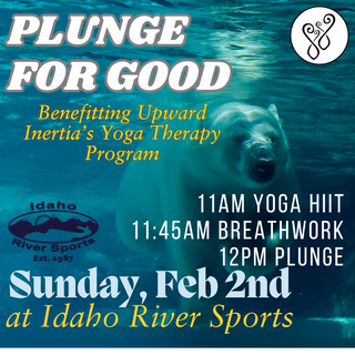 POLAR PLUNGE!